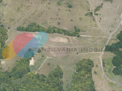Teren Intravilan 12.650mp | Valea Garbaului - Floresti