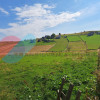 Teren Intravilan 1587 mp, Localitatea Maguri-Racatau thumb 1