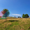 Teren Intravilan 1587 mp, Localitatea Maguri-Racatau thumb 12