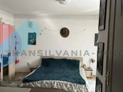 Apartament 1 cameră la casă, cu terasă și curte – Andrei Mureșanu, PET FRIENDLY