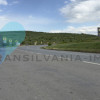 Teren Intravilan 16.000 Mp situat la DN–E81 Zalau-Cluj thumb 3