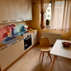 Apartament 70 mp cu terasă & loc de parcare | pet-friendly | complex Borhanci thumb 6