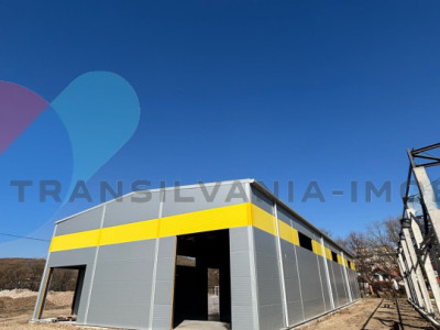Hale de vânzare – 600 mp, open space, acces TIR, zona intrare Baciu