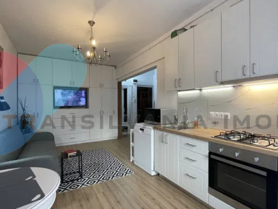 Apartament 33mp, mobilat si utilat modern - Dambul Rotund