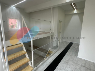 Apartament 53 mp utili, destinatie multipla - rezidential sau business, Vivo