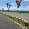 Hala industrială de închiriat – 5.857 mp utili, 3 niveluri, 4 rampe TIR, ISU thumb 3