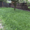 Casa individuala, 6 camere, zona Auchan Iris thumb 11