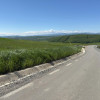 Teren Intravilan de 4.300 mp cu Acces Asfaltat – Popești, Cluj-Napoca thumb 5