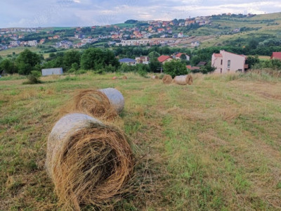 Teren intravilan 1.000 mp în Borhanci, ideal pentru casă, cu drum de servitute
