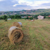 Teren intravilan 1.000 mp în Borhanci, ideal pentru casă, cu drum de servitute thumb 1