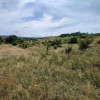 Teren intravilan 647 mp de vânzare în Borhanci – zonă de urbanizare, PUZ în curs thumb 2