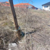 Teren intravilan 500mp  thumb 4