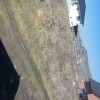 Teren intravilan 500mp  thumb 8