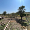 Casa individuala in Copaceni, 1277 mp teren thumb 13