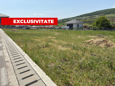 Teren Duplex 800 mp de vânzare  Chinteni cu Puz si utilitati